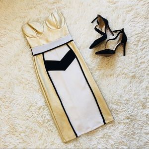 Shimmery Bodycon Dress